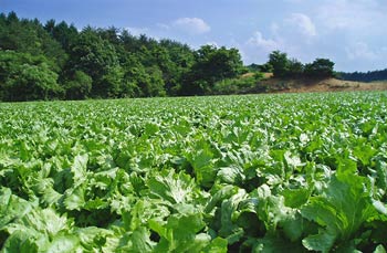 ���������E���㉺���^�X��